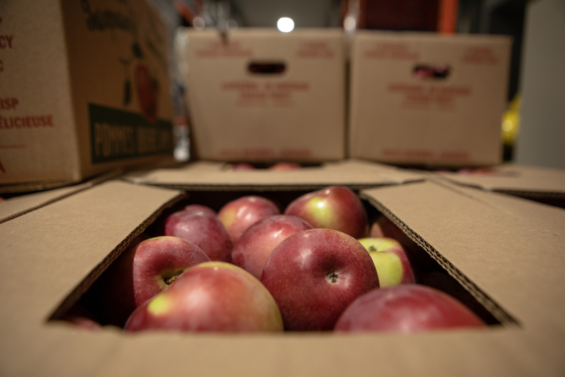 Boxes of apples